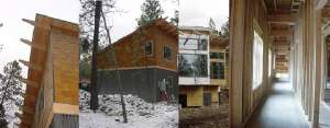 winter035.jpg